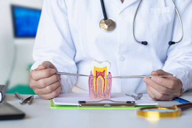 Best Emergency Dental Services for Seniors in New Carlisle, IN